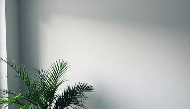 技术推广中的安装调试常见问题与处理建议